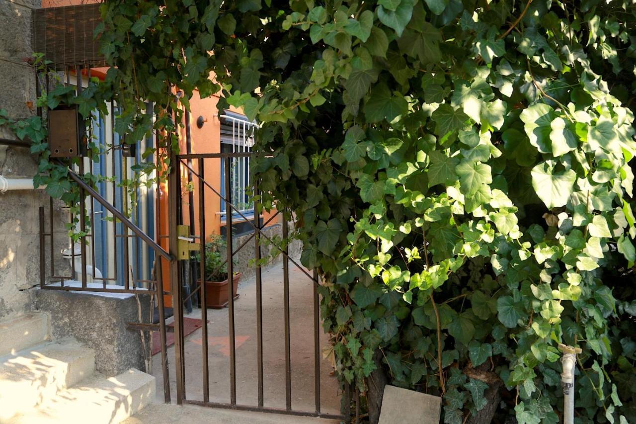 Film Poster Or Coffee Basement Apartman With Terrace Budapest Exterior photo